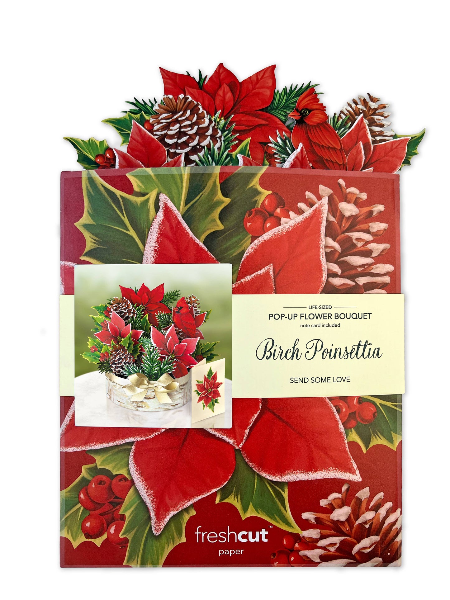 FreshCut Paper LLC - Birch Poinsettia (8 Pop-up Greeting Cards)