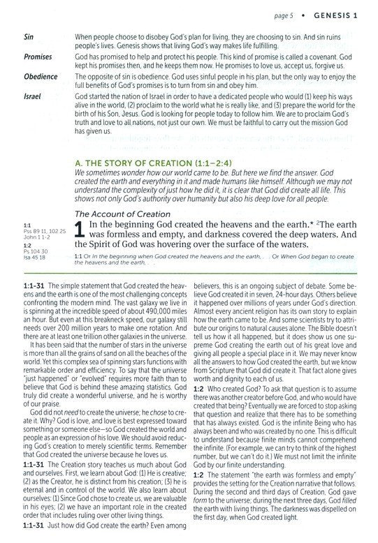 NLT Life Application Large-Print Study Bible, Third Edition--soft leather-look, rustic brown leaf