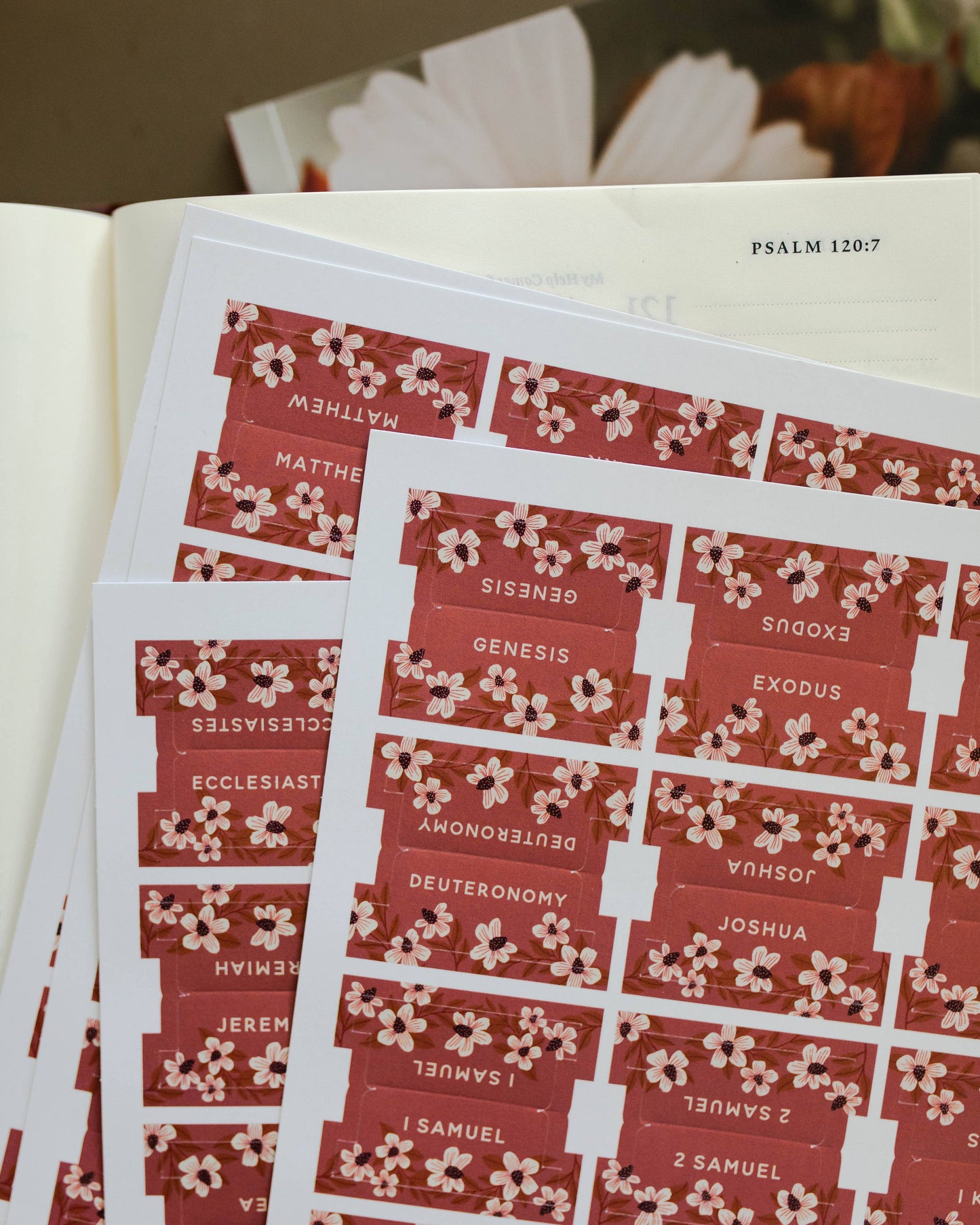The Daily Grace Co - Berry Blooms Bible Tabs
