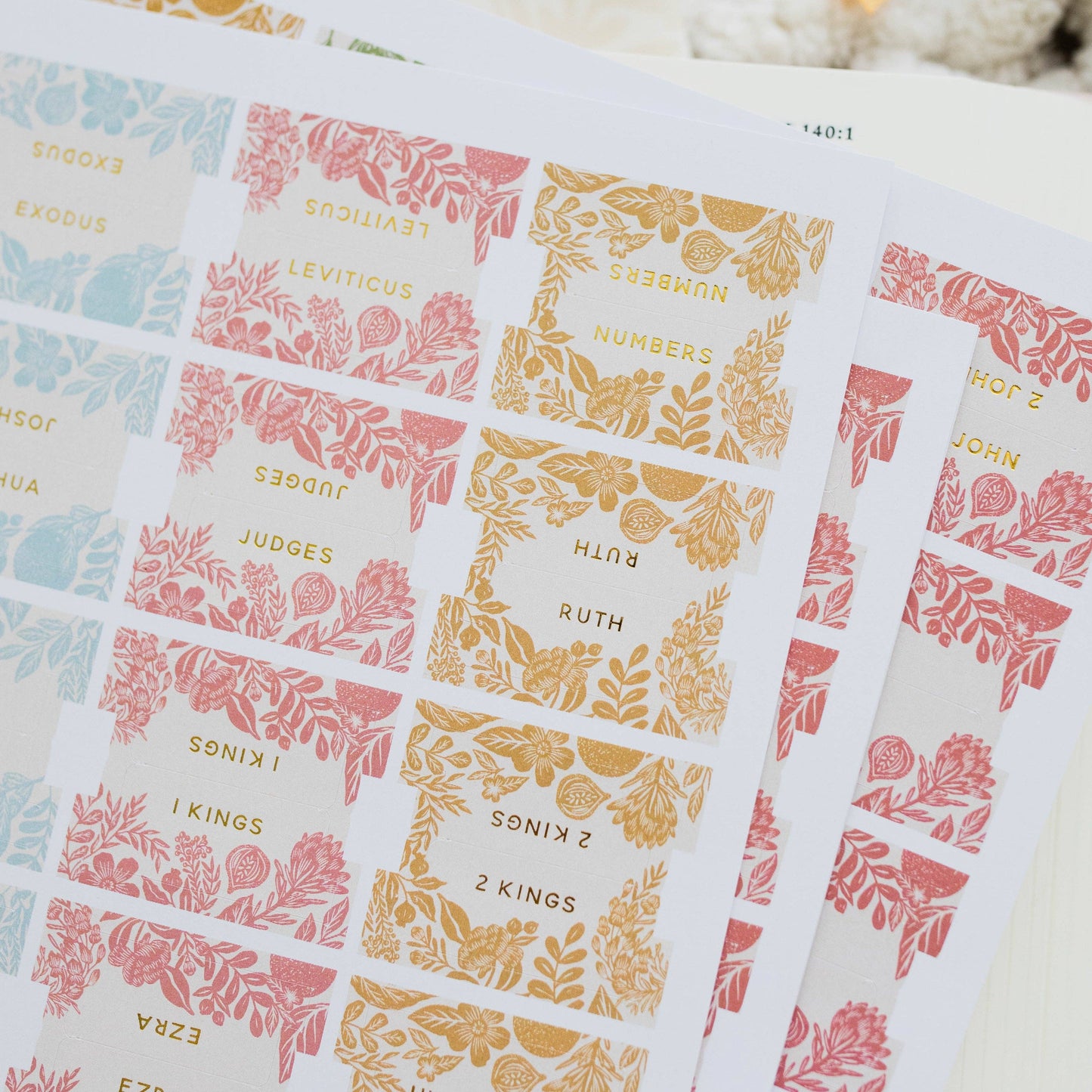 The Daily Grace Co - Citrus Bible Tabs