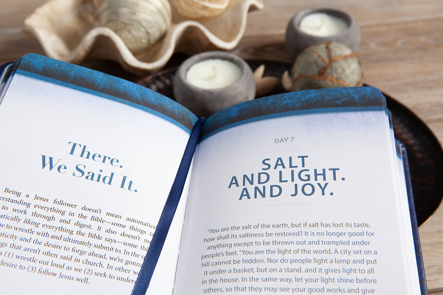 BroadStreet Publishing Group, LLC - The Chosen (Devotional #2)