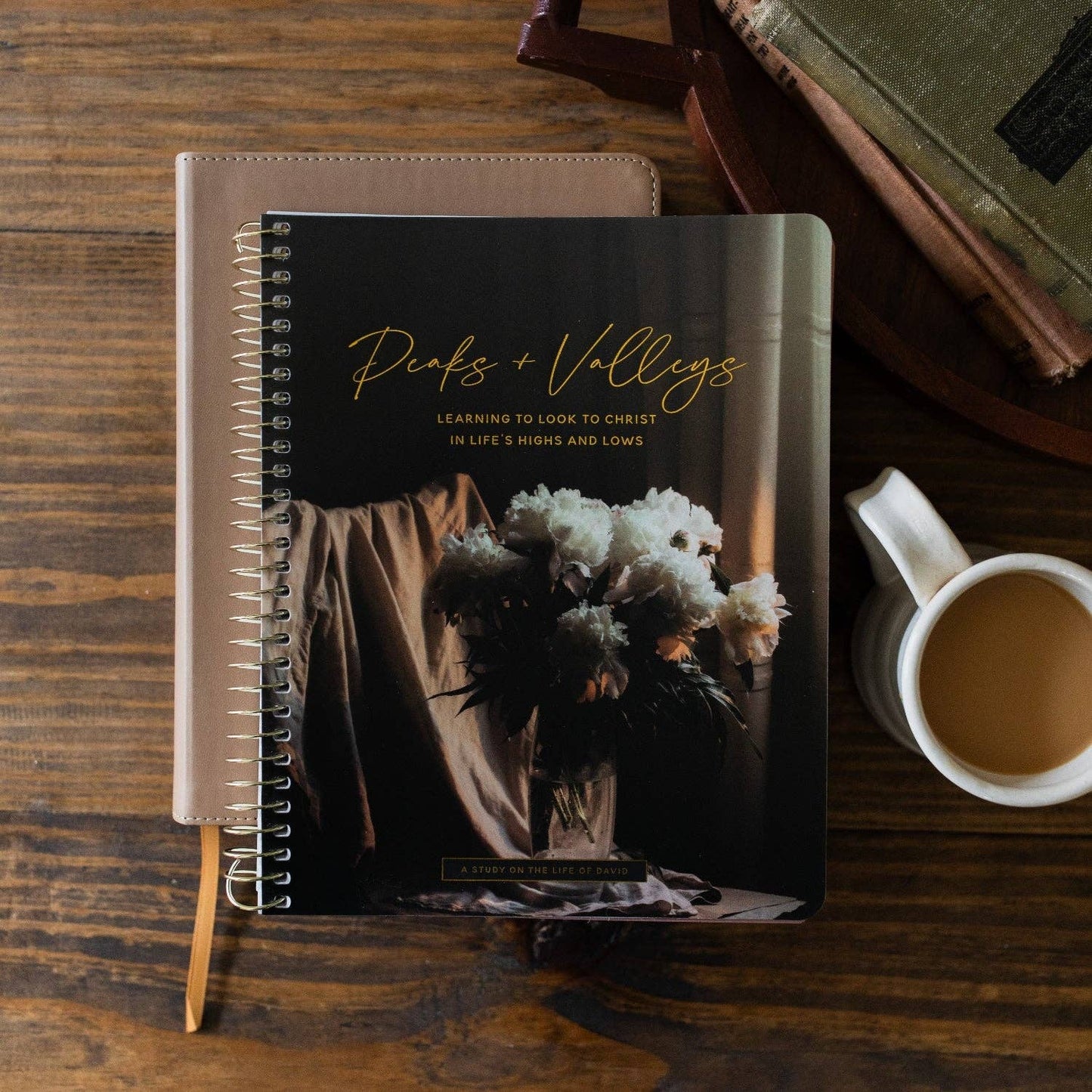 The Daily Grace Co - Peaks and Valleys: Learning to Look to Christ in Life's Highs and Lows | A Study on the Life of David