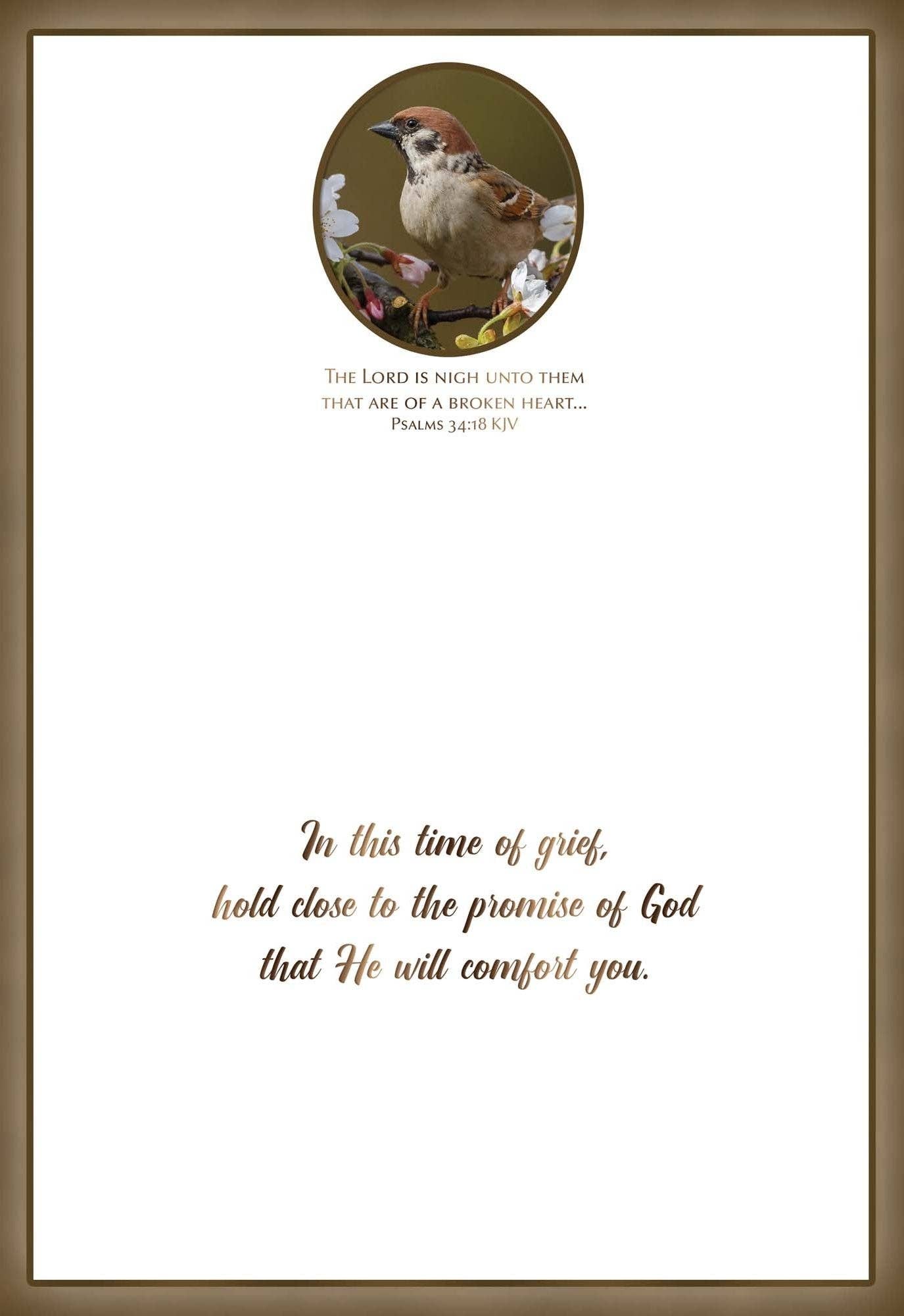 Crown Point Graphics - Feathers of Faith - Box of 12 Assorted Sympathy Cards by Shared Blessings