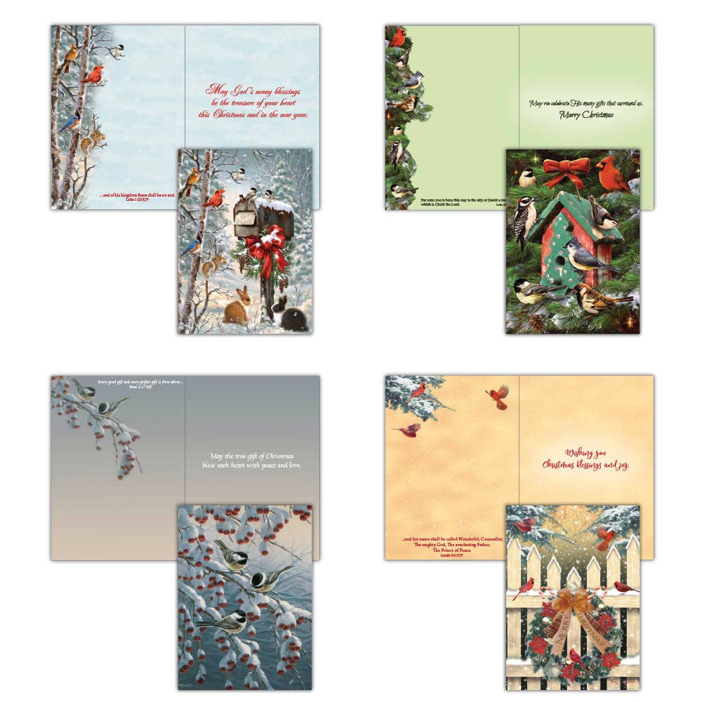 Crown Point Graphics - Winter Birds  - Variety Assortment Cards, Box of 12