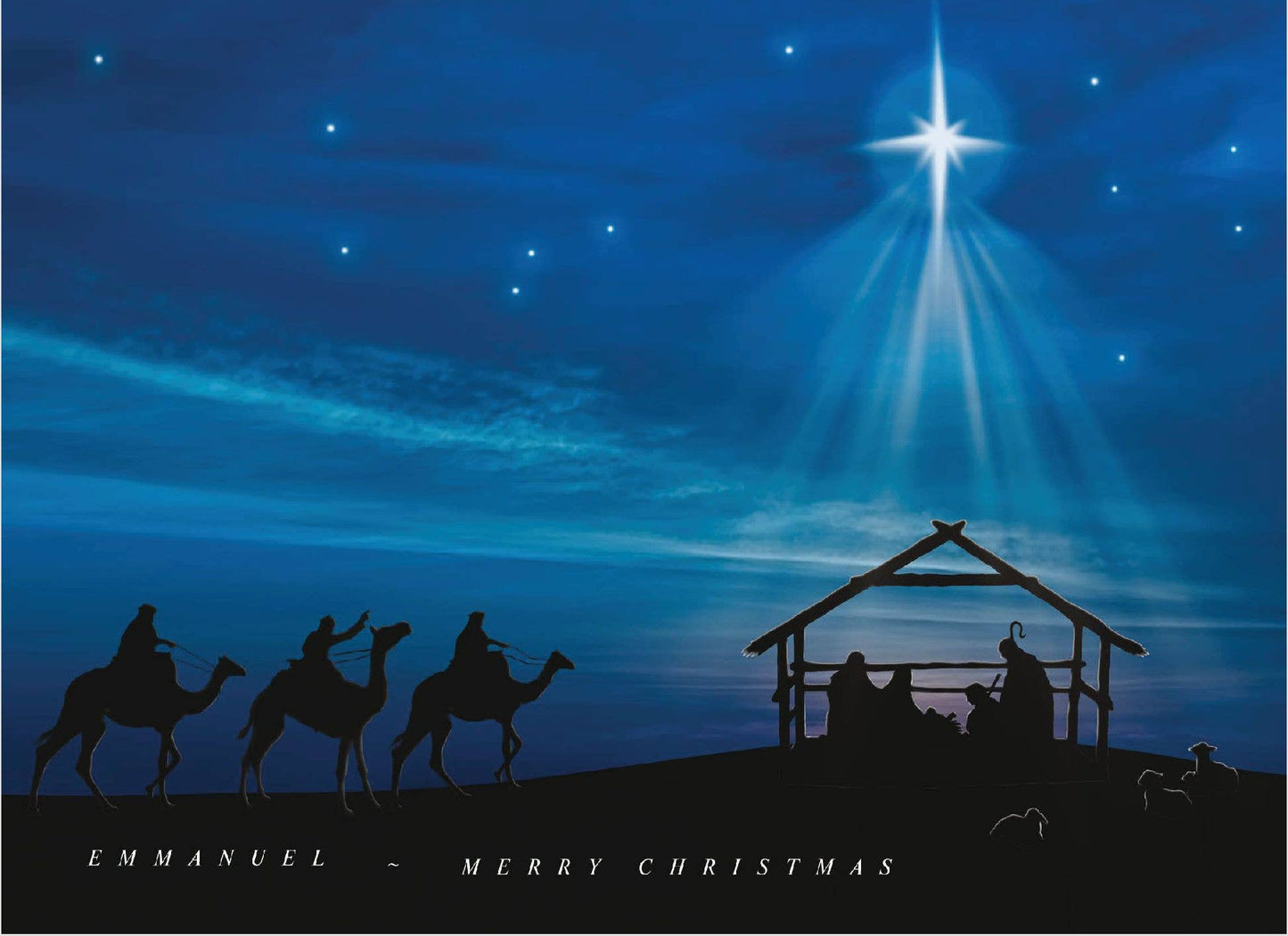 Crown Point Graphics - Religious Boxed Christmas Cards, Peace on Earth, 12 Cards