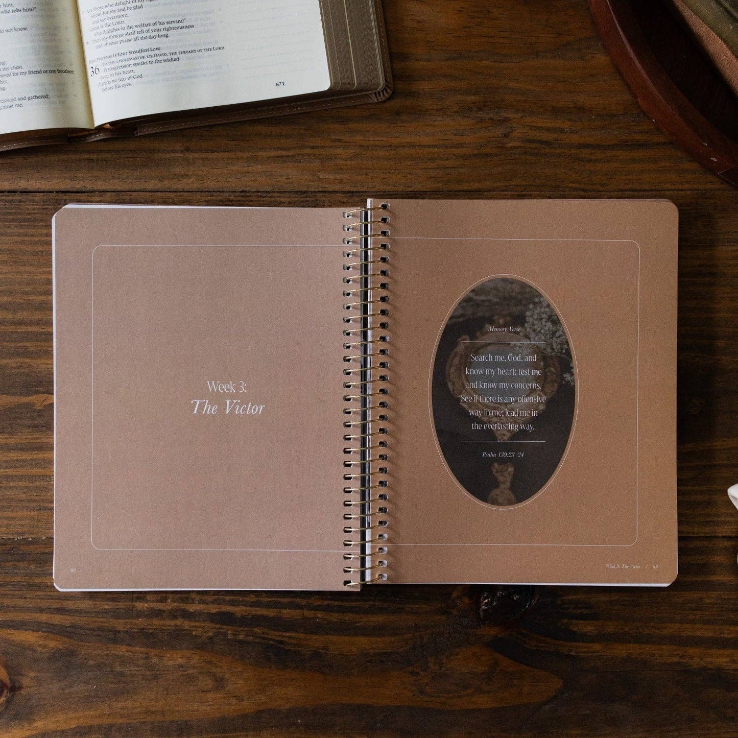 The Daily Grace Co - Peaks and Valleys: Learning to Look to Christ in Life's Highs and Lows | A Study on the Life of David