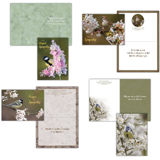 Crown Point Graphics - Feathers of Faith - Box of 12 Assorted Sympathy Cards by Shared Blessings