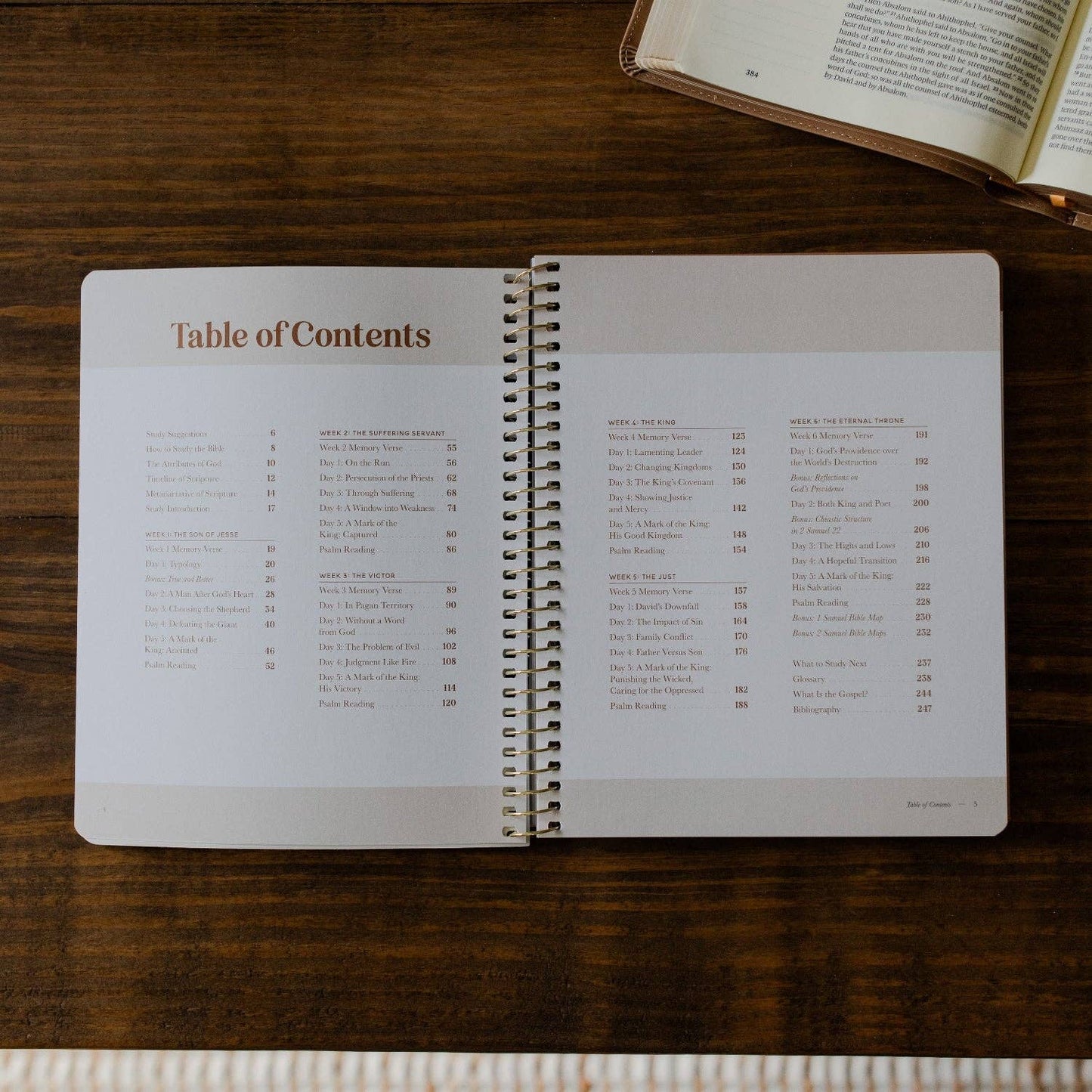 The Daily Grace Co - Peaks and Valleys: Learning to Look to Christ in Life's Highs and Lows | A Study on the Life of David - Men