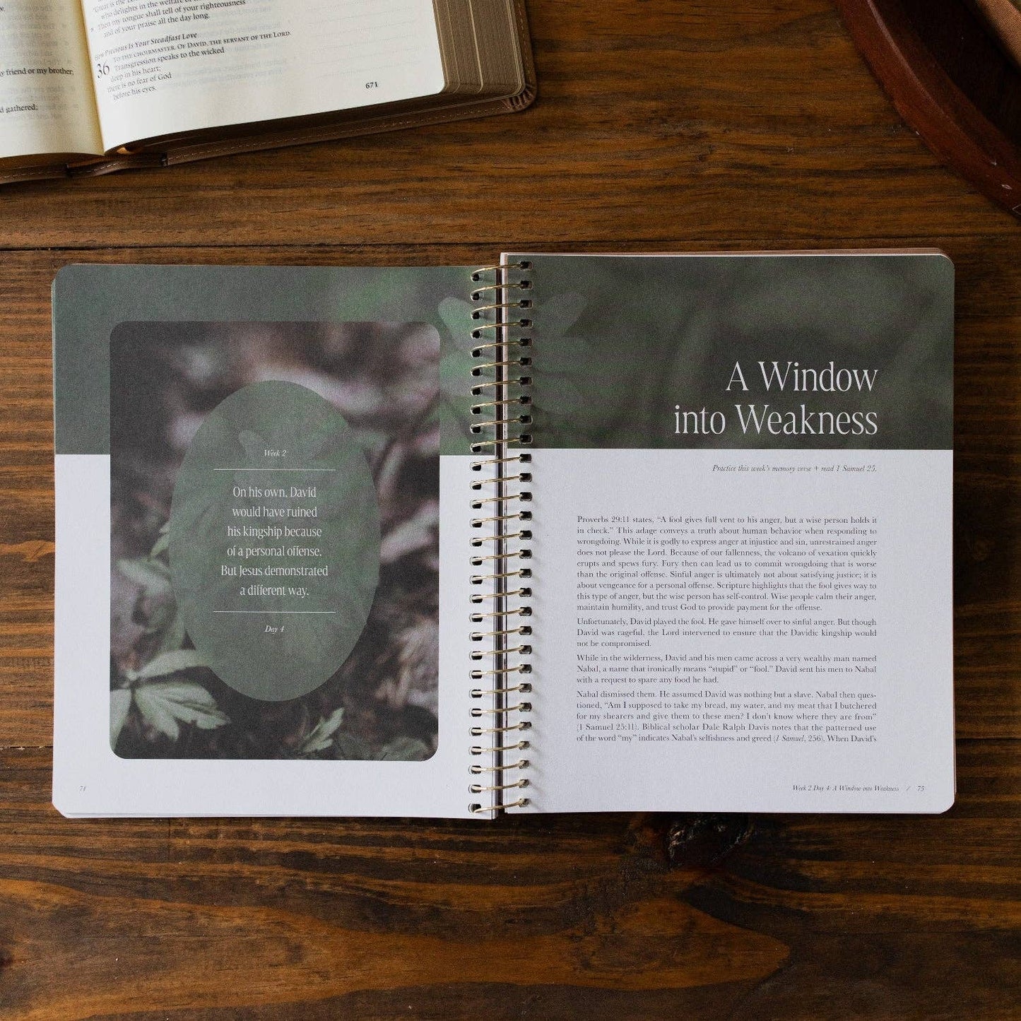 The Daily Grace Co - Peaks and Valleys: Learning to Look to Christ in Life's Highs and Lows | A Study on the Life of David