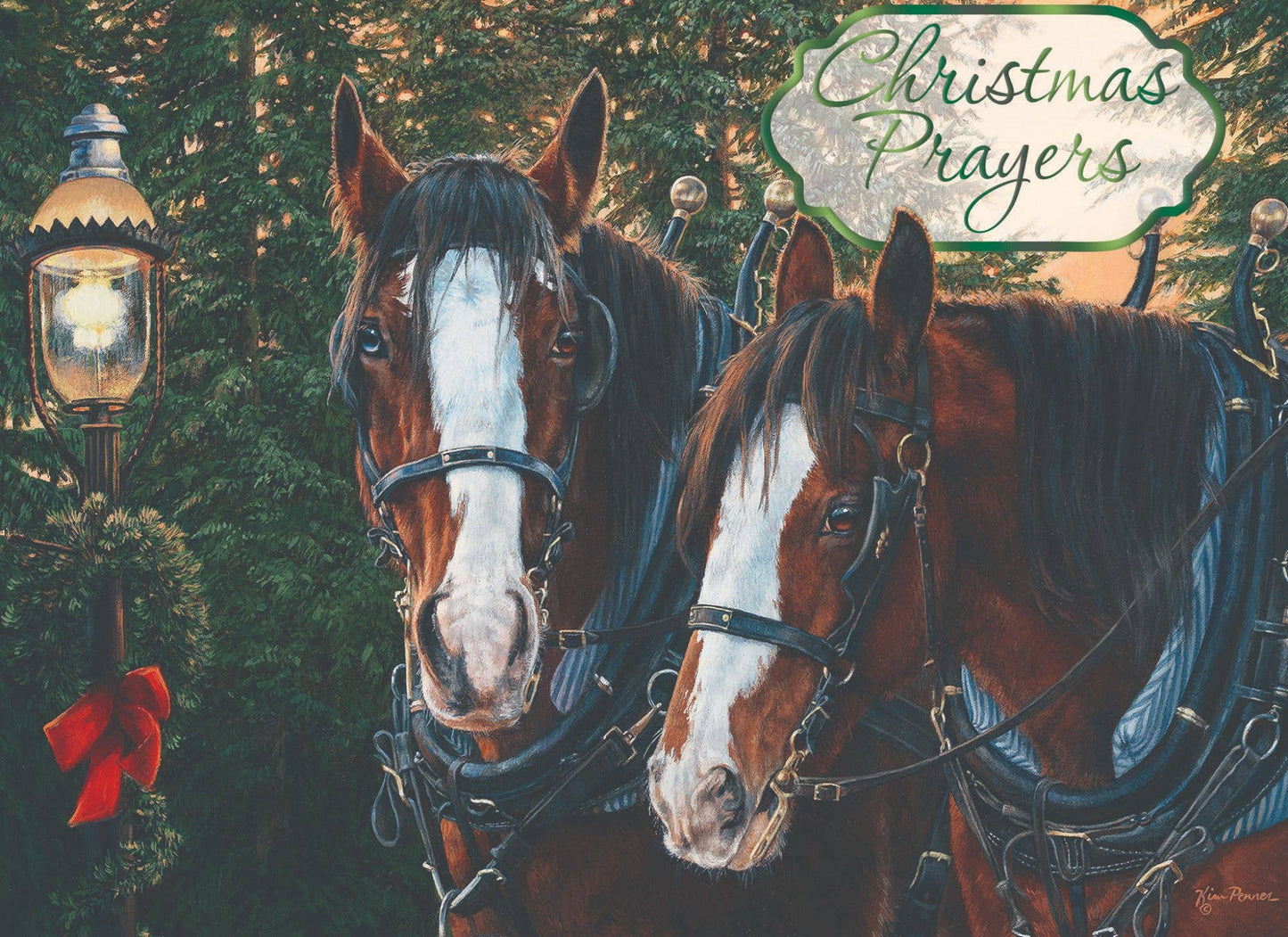 Crown Point Graphics - Religious Boxed Christmas Cards - Winters Glow, KJV