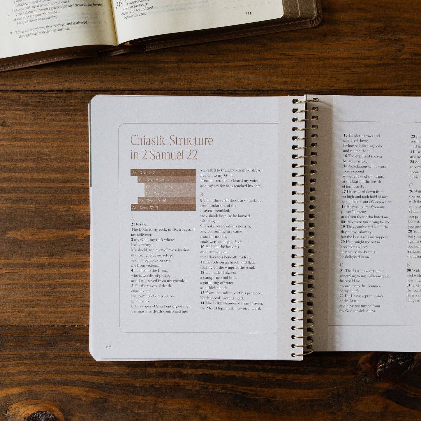 The Daily Grace Co - Peaks and Valleys: Learning to Look to Christ in Life's Highs and Lows | A Study on the Life of David