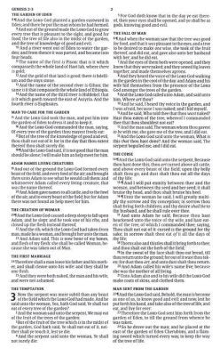 KJV Gift and Award Bible--imitation leather, burgundy