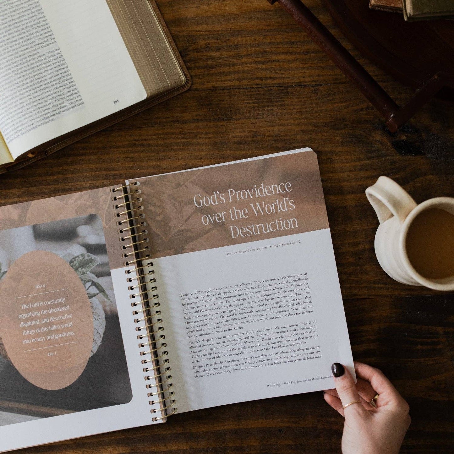 The Daily Grace Co - Peaks and Valleys: Learning to Look to Christ in Life's Highs and Lows | A Study on the Life of David