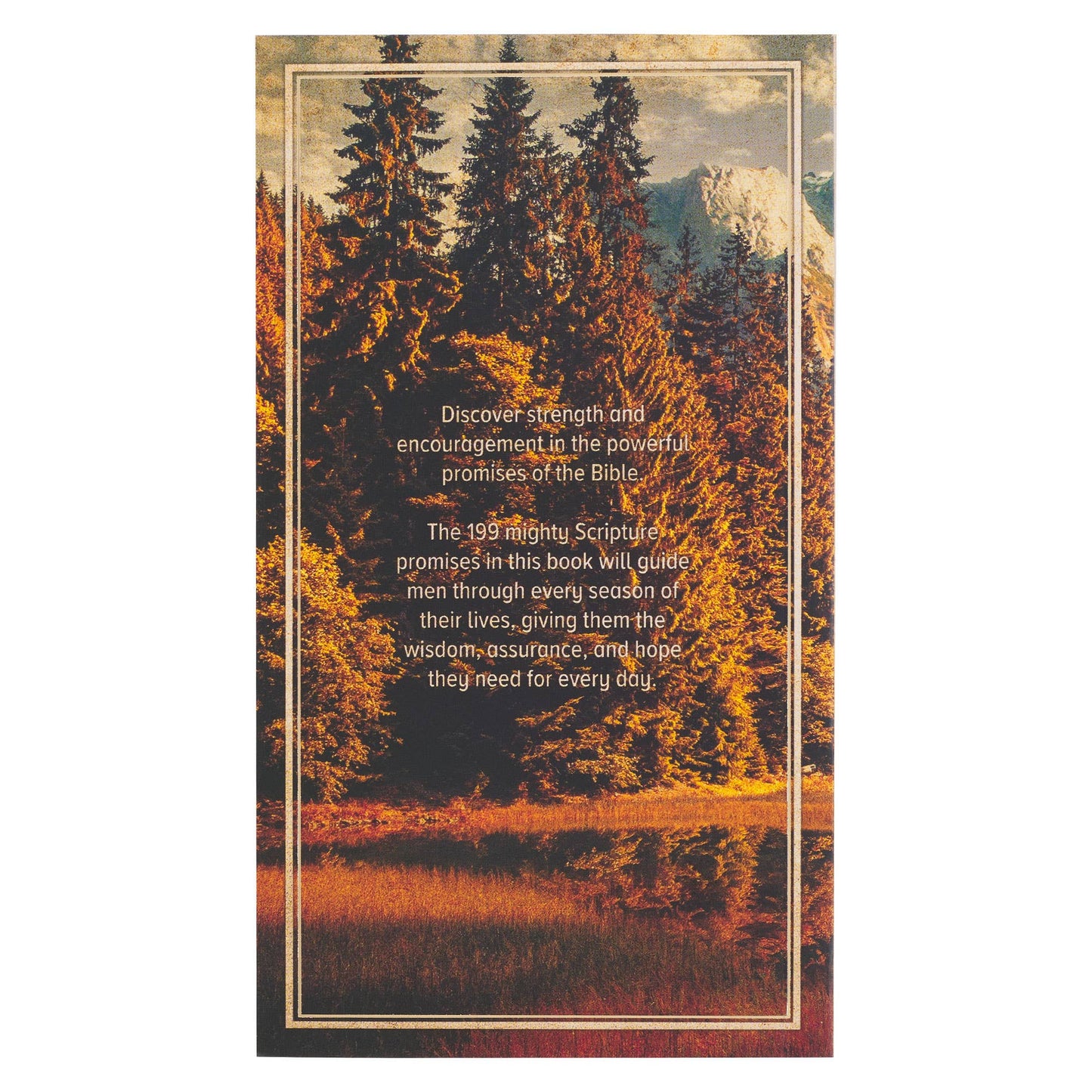 Christian Art Gifts - 199 Favorite Bible Verses for Men Softcover
