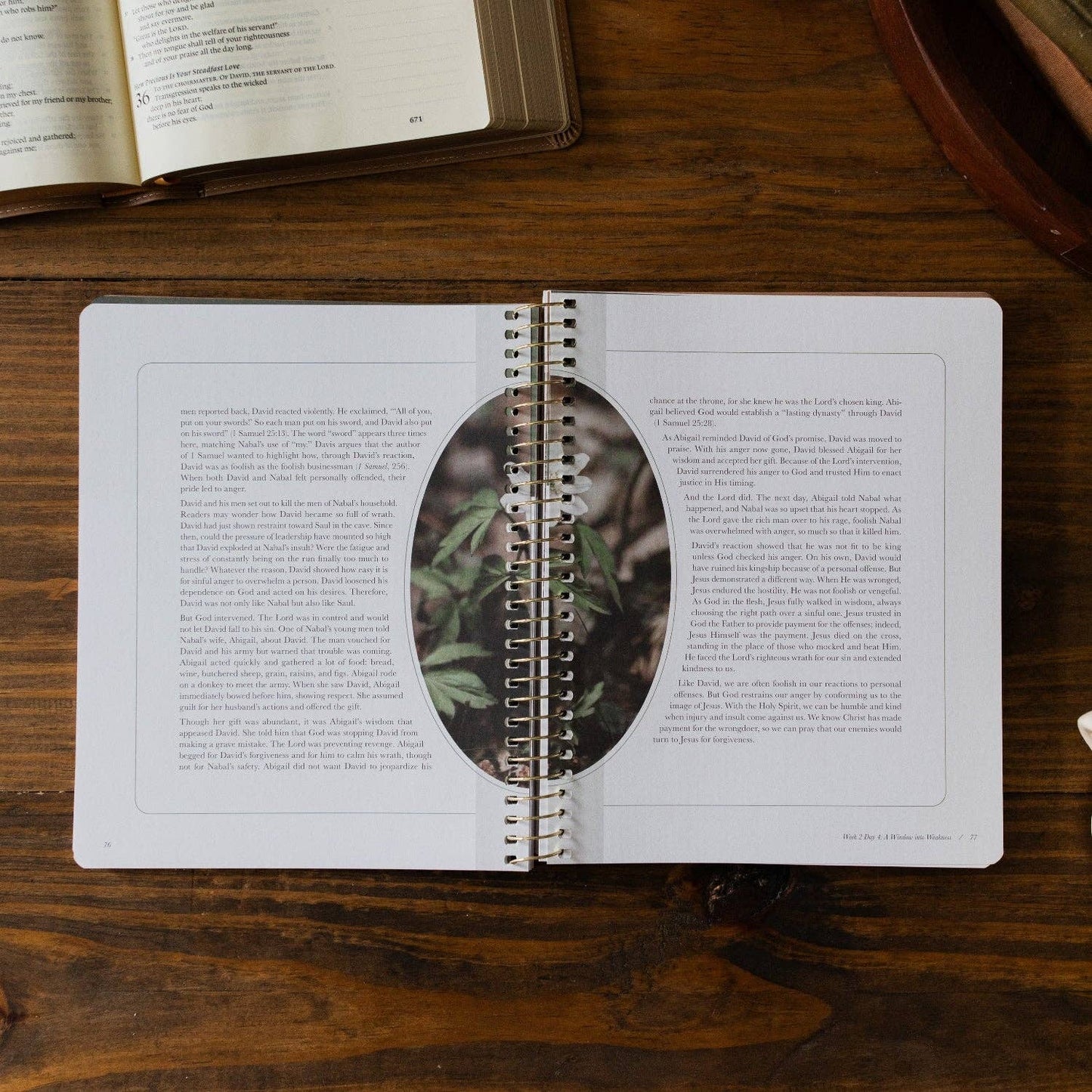 The Daily Grace Co - Peaks and Valleys: Learning to Look to Christ in Life's Highs and Lows | A Study on the Life of David