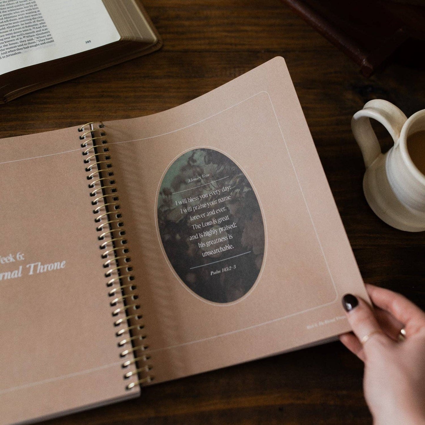 The Daily Grace Co - Peaks and Valleys: Learning to Look to Christ in Life's Highs and Lows | A Study on the Life of David