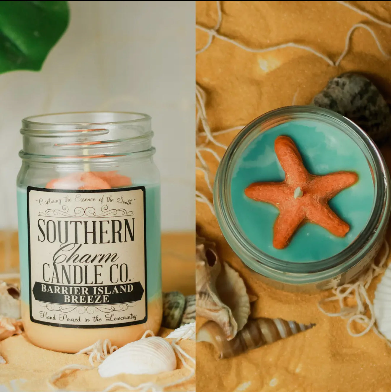 Starfish Candle Fundraiser (pre order)