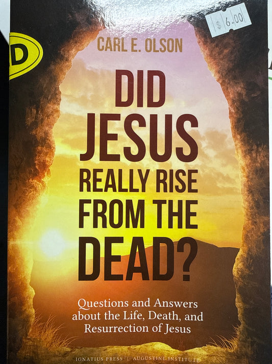 Did Jesus Really Rise from the Dead? Used book