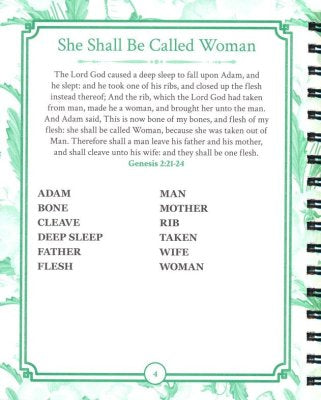 Brain Games: Women of The Bible Word Search