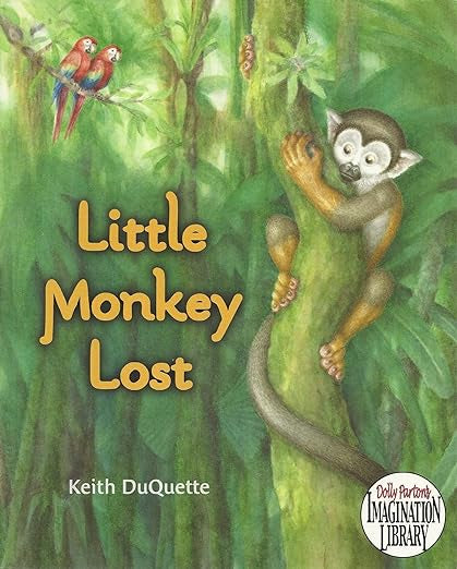 Little Monkey Lost Paperback