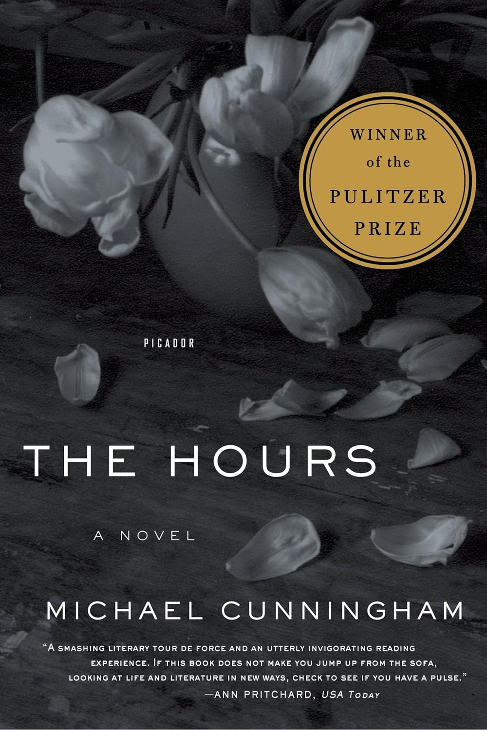 The Hours: A Novel (Picador Modern Classics, 1)