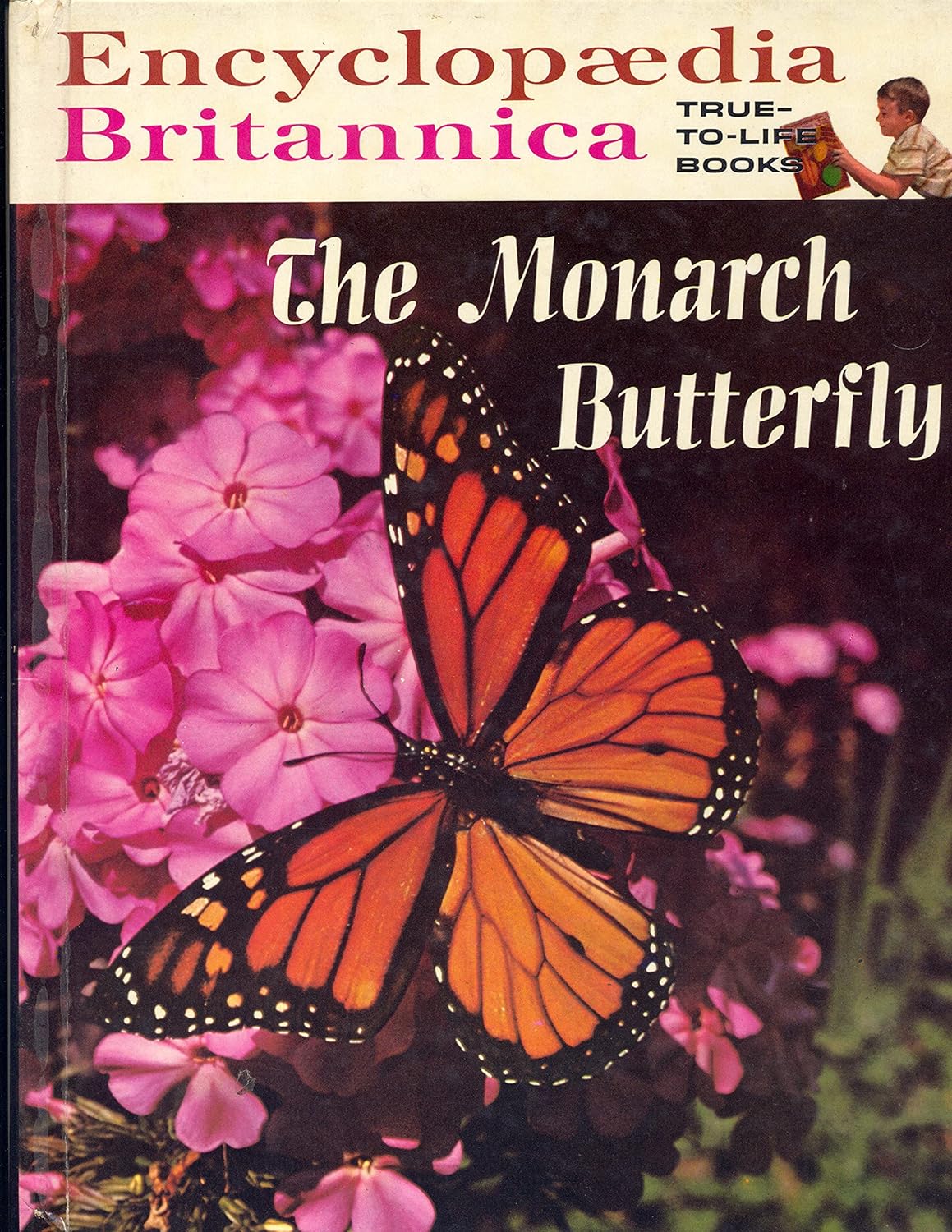 Encyclopedia Britannica The Monarch Butterfly