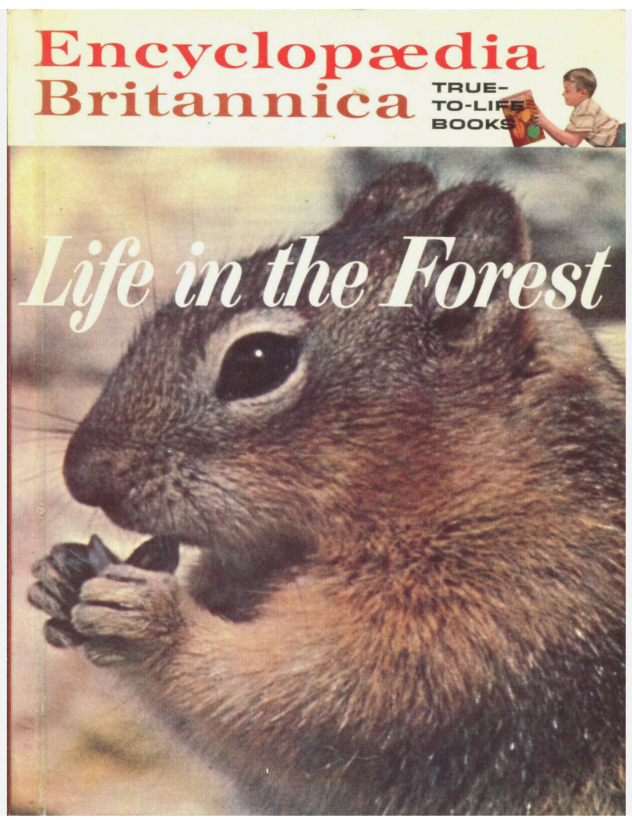 Encyclopedia Britannica Life in the Forest