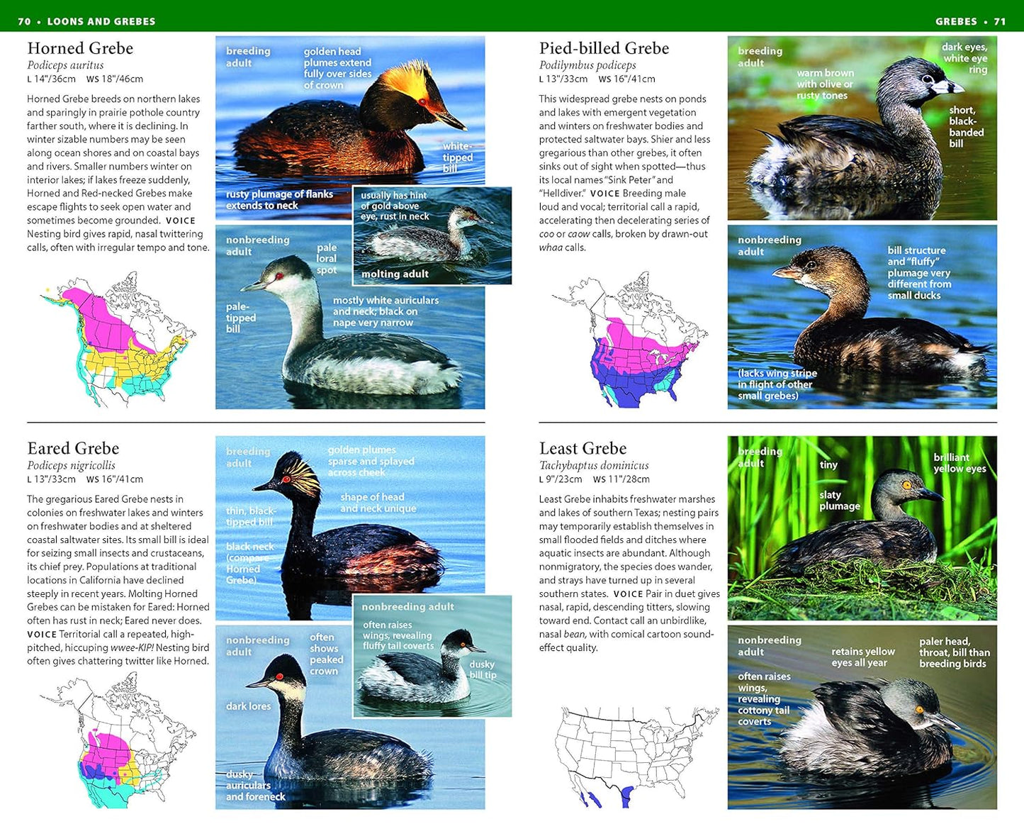 National Wildlife Federation Field Guide to Birds of North America