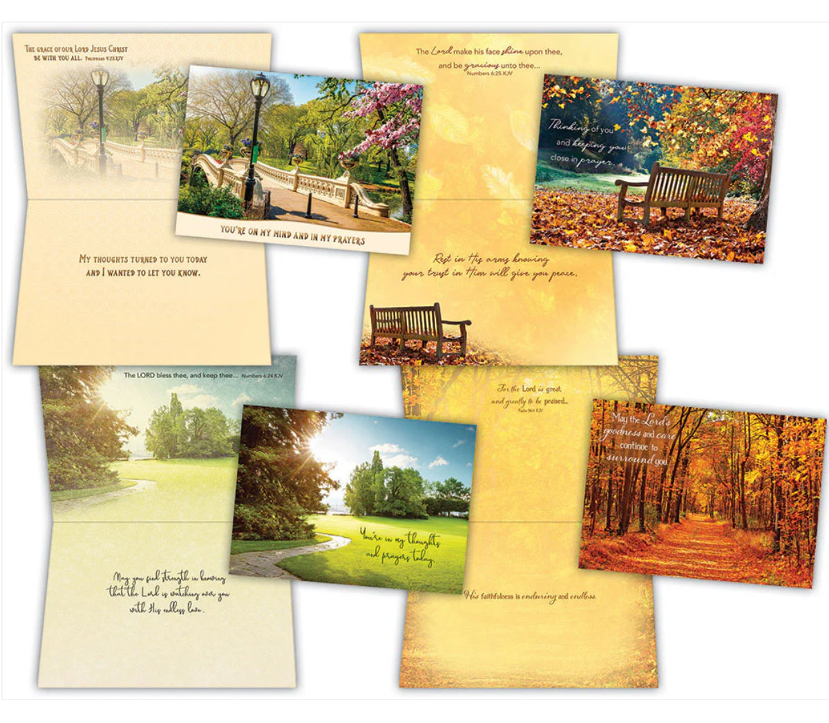 Thinking of You - Pathways - Assorted Thinking of You Cards, Box of 12