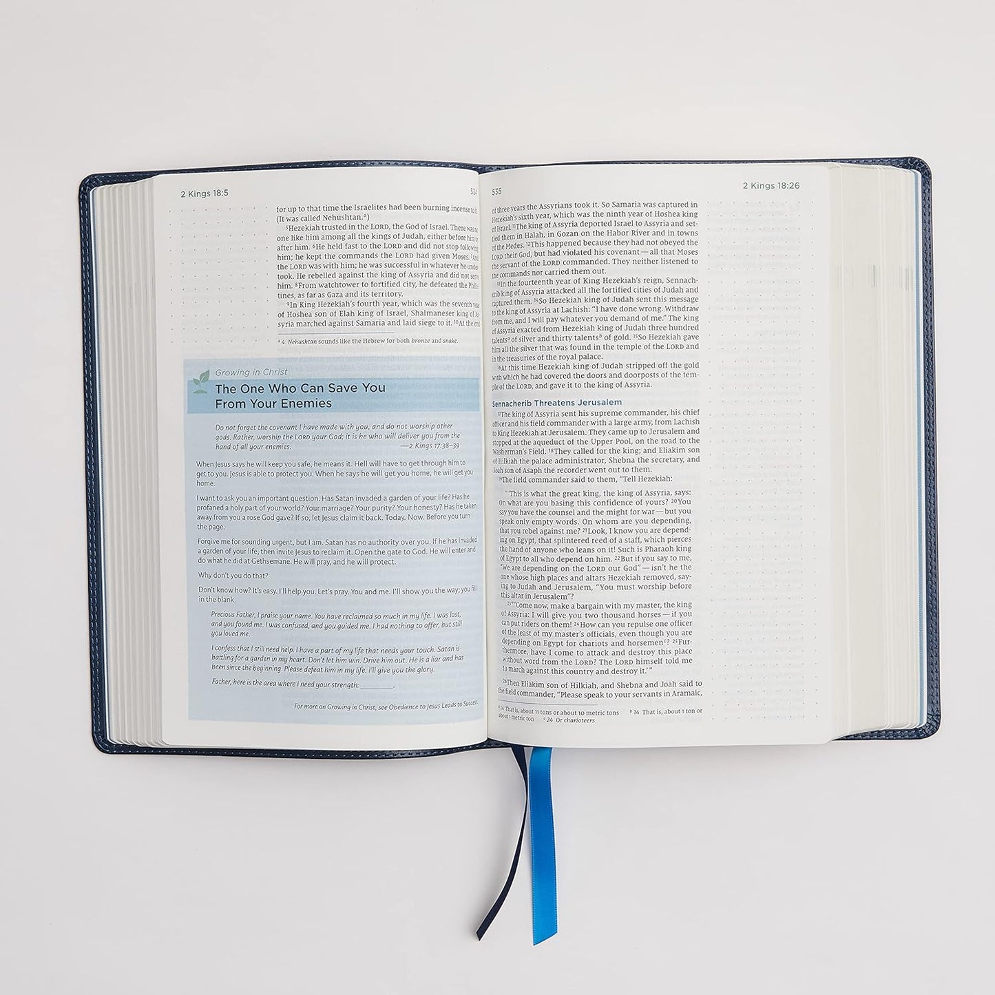 NIV Lucado Encouraging Word Bible, Comfort Print, Leathersoft, Blue