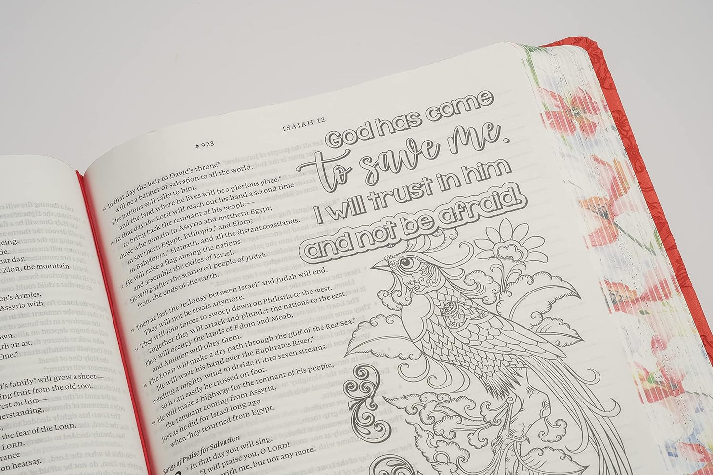 NLT Inspire FAITH Bible, Filament Enabled Edition, Hardcover LeatherLike, Coral Blooms