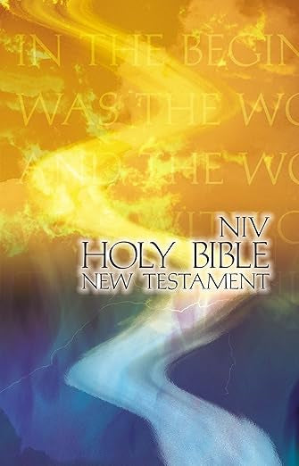 New Testament: New International Version, Outreach, God's Word