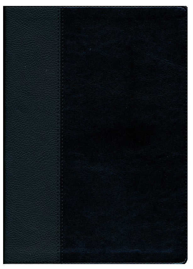 NLT Every Man's Large-Print Bible--imitation leather, black/onyx