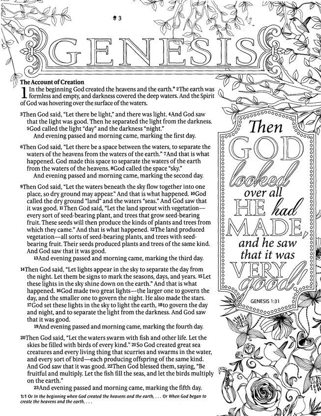 Inspire Bible Large Print NLT, Filament-Enabled Edition (LeatherLike, Floral Fields with Gold