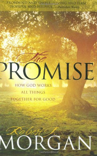 The Promise: How God Works All Things Together for Good