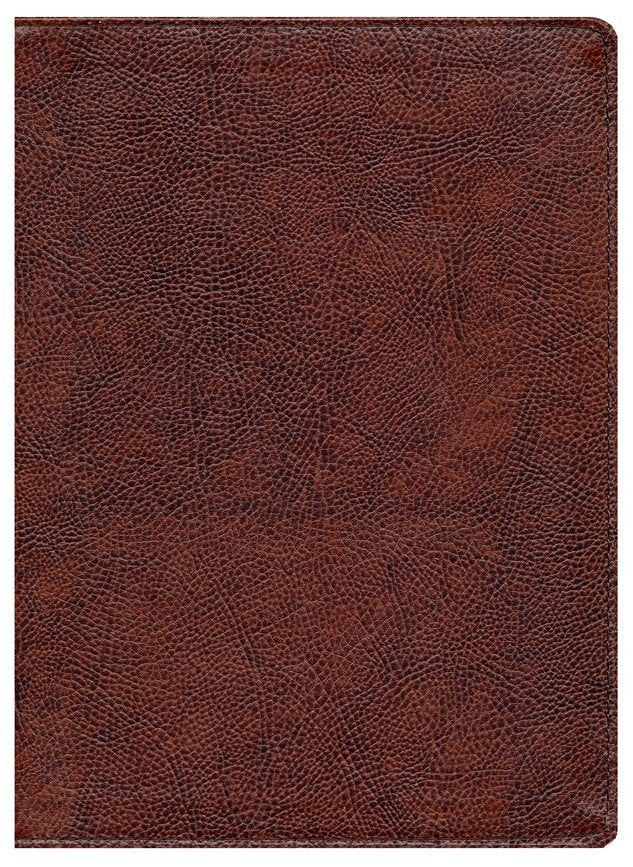 KJV Study Bible, Full-Color--bonded leather, brown (indexed)