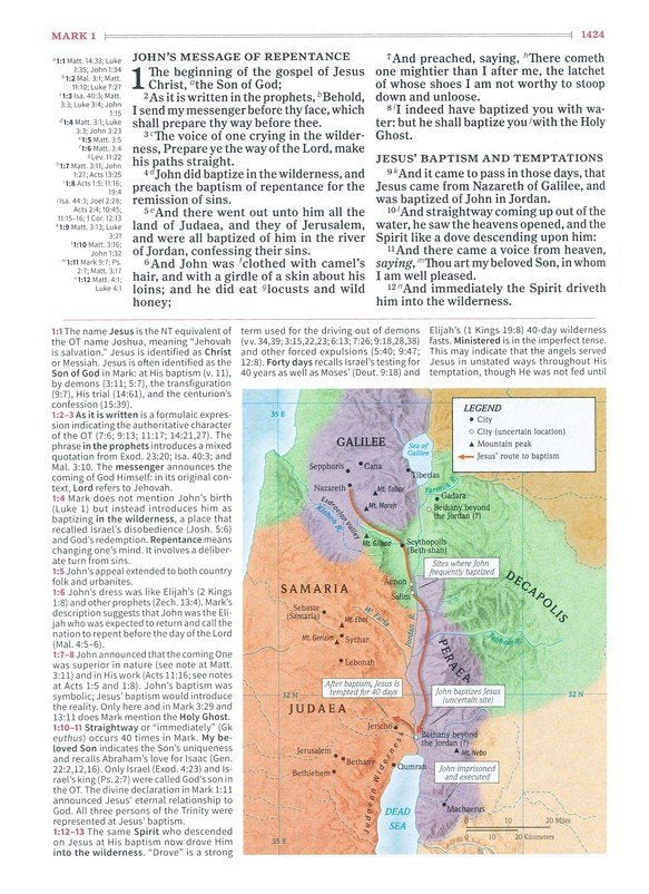 KJV Study Bible, Full-Color--bonded leather, brown (indexed)
