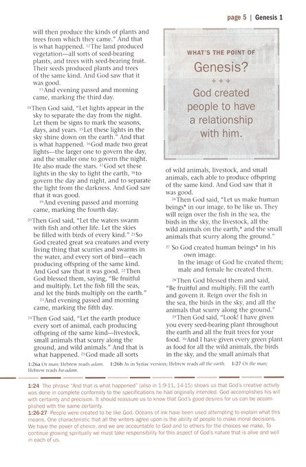 NLT Every Man's Bible, Deluxe Explorer Edition, LeatherLike, Brown, With thumb index