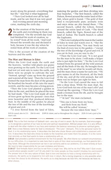 NLT Every Man's Bible, Deluxe Explorer Edition, LeatherLike, Brown, With thumb index