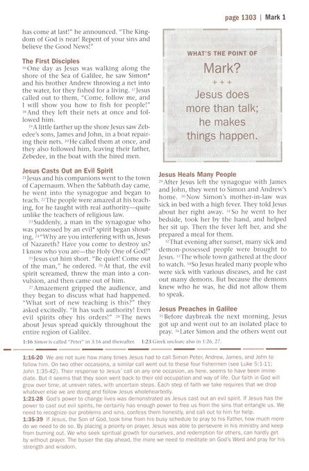 NLT Every Man's Bible, Deluxe Explorer Edition, LeatherLike, Brown, With thumb index