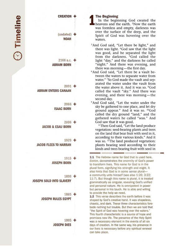 NLT Every Man's Large-Print Bible, Deluxe Explorer Edition--soft leather-look, rustic brown (indexed)