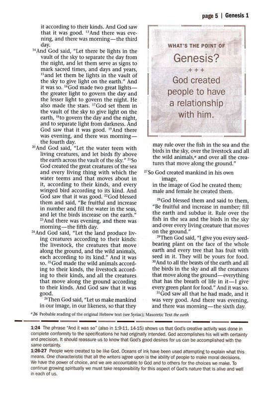 NLT Every Man's Large-Print Bible, Deluxe Explorer Edition--soft leather-look, rustic brown (indexed)