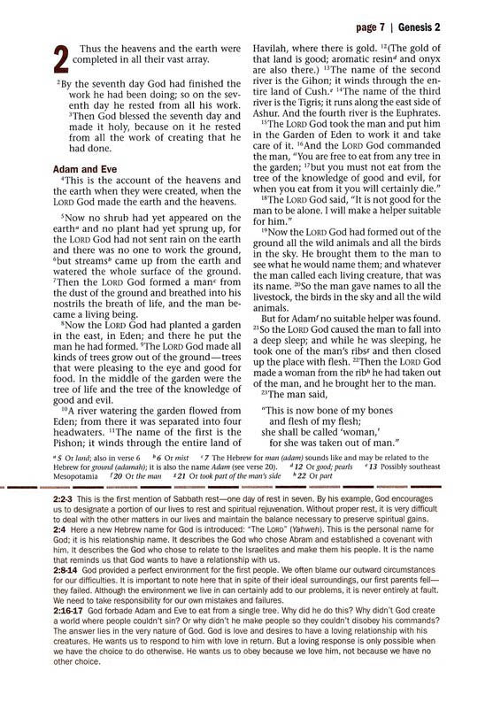 NLT Every Man's Large-Print Bible, Deluxe Explorer Edition--soft leather-look, rustic brown (indexed)
