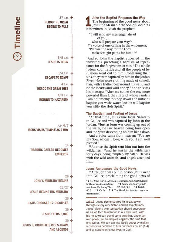 NLT Every Man's Large-Print Bible, Deluxe Explorer Edition--soft leather-look, rustic brown (indexed)