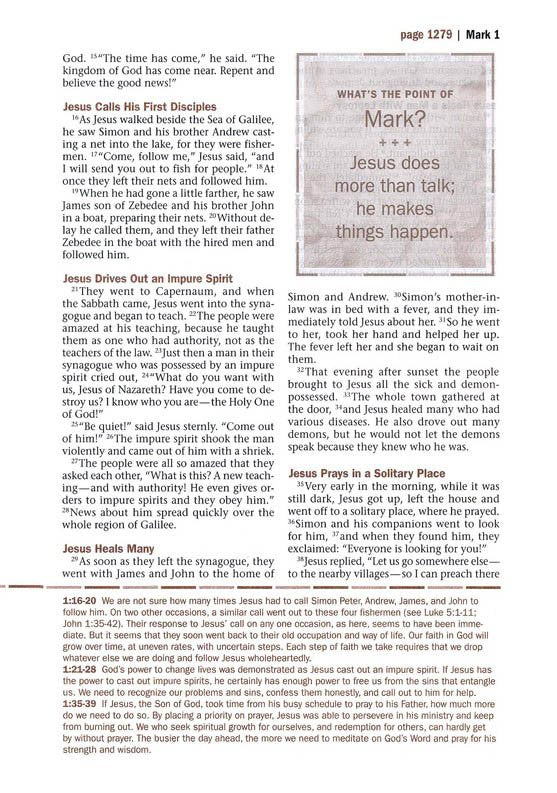 NLT Every Man's Large-Print Bible, Deluxe Explorer Edition--soft leather-look, rustic brown (indexed)