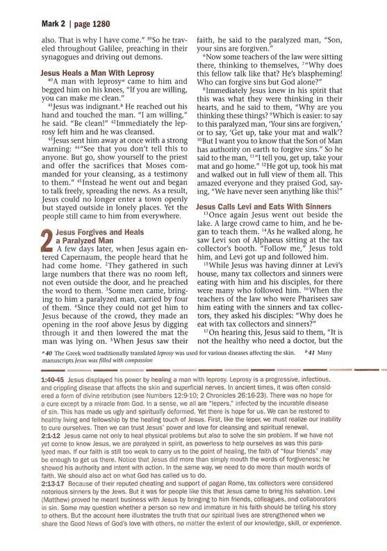 NLT Every Man's Large-Print Bible, Deluxe Explorer Edition--soft leather-look, rustic brown (indexed)