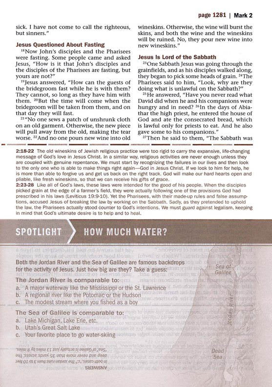 NLT Every Man's Large-Print Bible, Deluxe Explorer Edition--soft leather-look, rustic brown (indexed)
