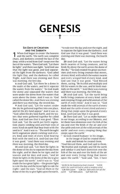 NRSVue, Gift Bible, Leathersoft, Burgundy, Comfort Print