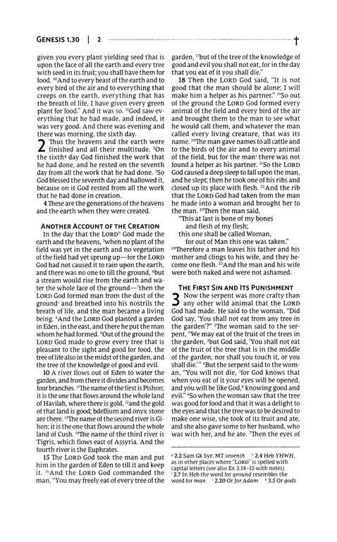 NRSVue, Gift Bible, Leathersoft, Burgundy, Comfort Print