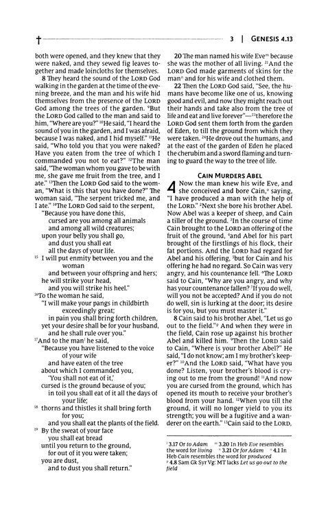 NRSVue, Gift Bible, Leathersoft, Burgundy, Comfort Print